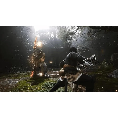 Игра Black Myth: Wukong Deluxe Edition для PS5